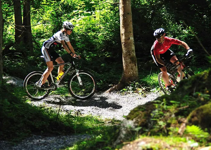 In - Salzburger Land 35404 *